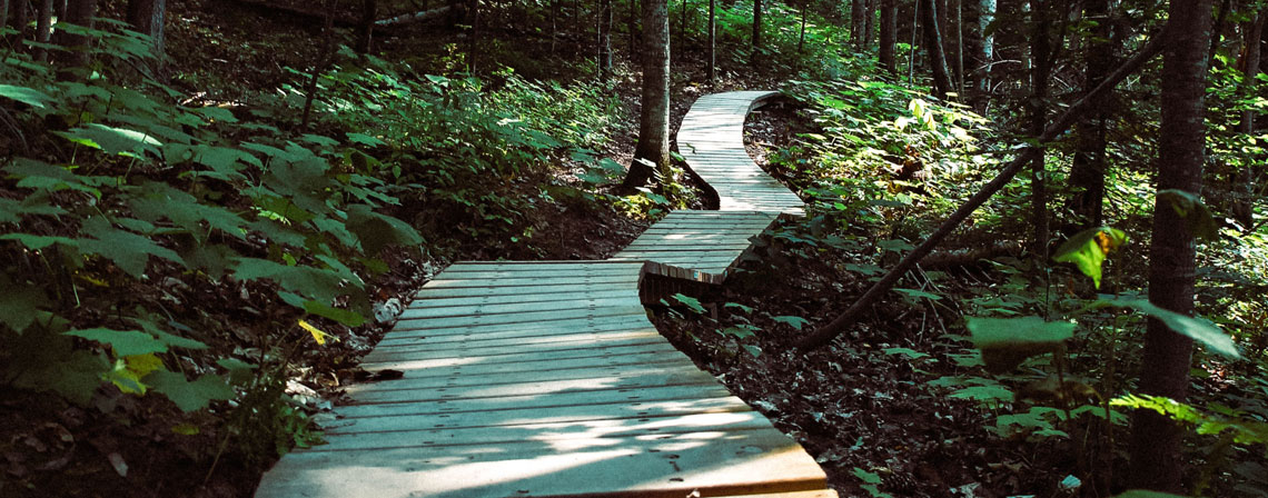 slatted-wood-pathway